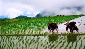 生财有道网:找太多的项目,还不如读懂这篇文章