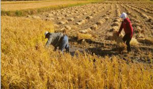 生财有道网:找太多的项目,还不如读懂这篇文章