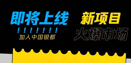 【全面解析】中国银都拼团是哪个公司?