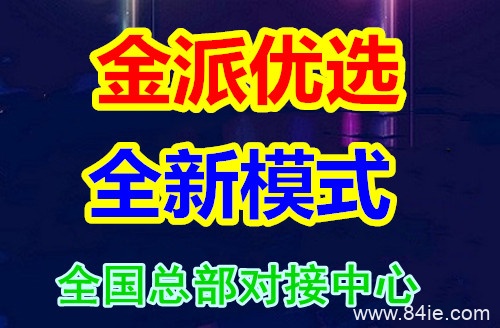金派优选到底是什么?究竟怎么玩?大咖带你深度解析!