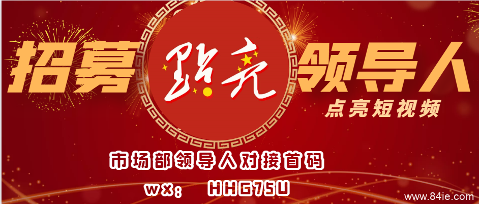 点亮—2021年网赚项目新黑马